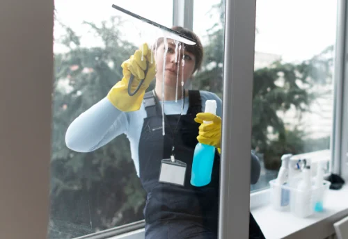 Nettoyage de vitres intérieures et extérieures à Sèvremont